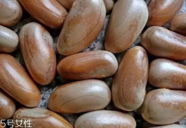 榴蓮蜜怎么吃？不同的吃法風(fēng)格