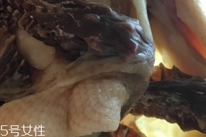 板鴨怎么做好吃？這樣做香氣撲鼻