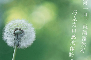 好利來蒲公英空氣巧克力好吃嗎？