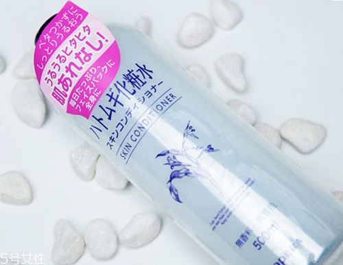 化妝水有哪幾種？日妝化妝水推薦