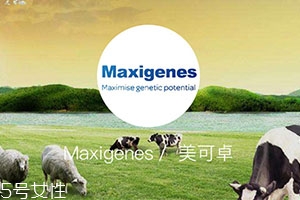 藍胖子奶粉適合什么人？成人可以喝嗎？