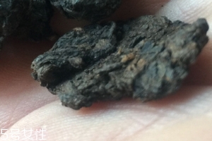 老茶頭怎么泡？泡錯(cuò)了就不好喝了