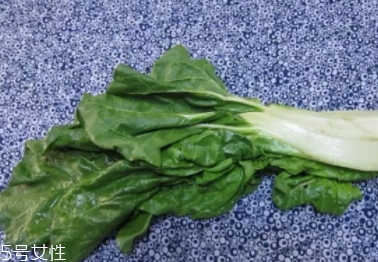 牛皮菜怎么做好吃？多種做法讓你耳目一新