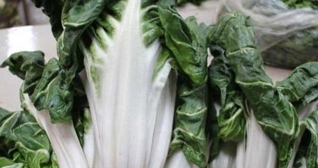 牛皮菜是發(fā)物嗎？牛皮菜有毒嗎