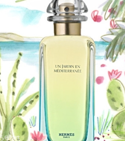 dior迪奧香水和愛馬仕香水哪個好？
