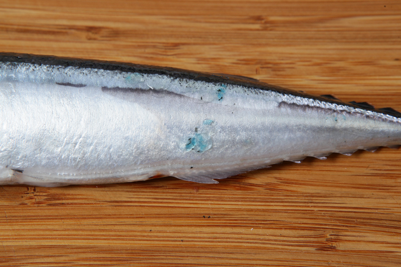 秋刀魚怎么處理？秋刀魚怎么挑選