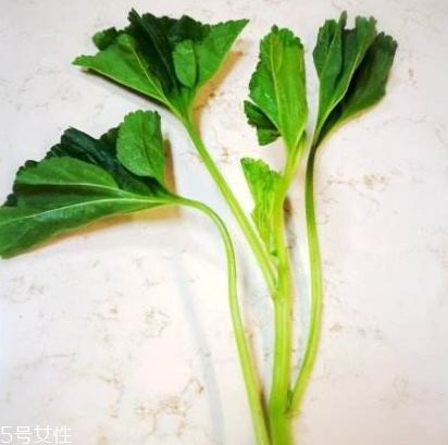 冬寒菜多少錢一斤？