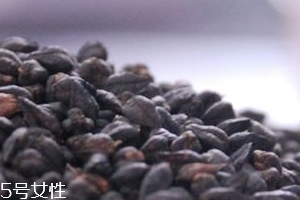 黑苦蕎茶上火嗎？蒸煮法苦蕎茶不上火