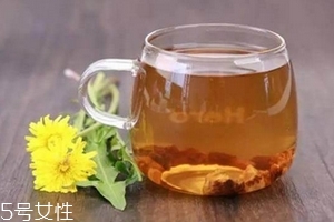 蒲公英茶可以天天喝嗎？不要長期喝
