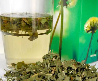蒲公英茶可以天天喝嗎？不要長期喝