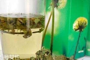 蒲公英茶哪些人不宜喝？這三種人要避開