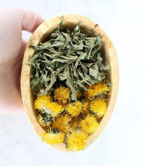 蒲公英茶哪些人不宜喝？這三種人要避開(kāi)