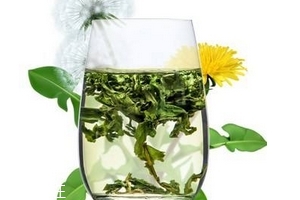 蒲公英茶哪個(gè)牌子好？大牌子值得信賴