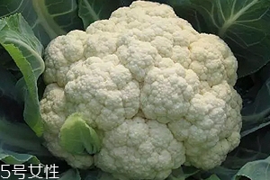 花椰菜可以生吃嗎？熱水殺毒可食用