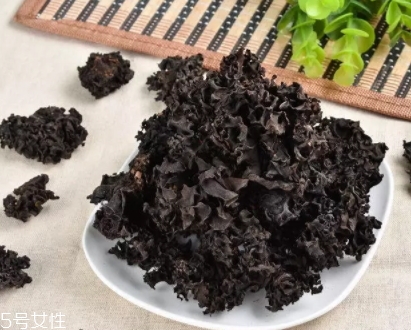 血耳多少錢一斤？來自大山的饋贈