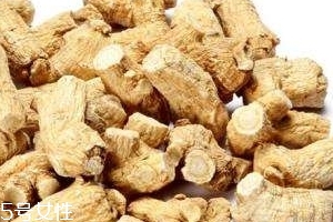 西洋參是哪里產(chǎn)的？長白山為主要產(chǎn)地