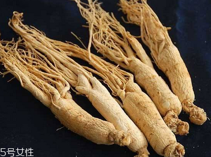 西洋參會過期嗎？答案是肯定的
