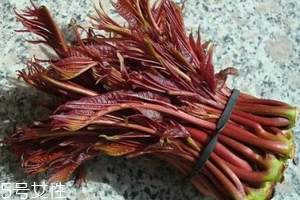 香椿涼拌怎么做好吃？超級(jí)簡單的3道開胃菜