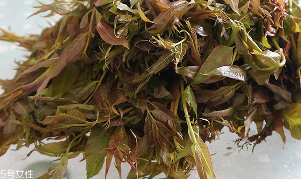 香椿水餃怎么做好吃？超詳細香椿豆腐餃子做法