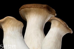 杏鮑菇怎么洗才干凈？鹽水泡泡輕松去污