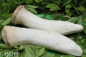 杏鮑菇熟了是什么樣？變軟了就能吃