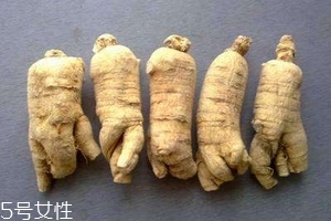 西洋參會回奶嗎？不用擔心這個問題