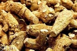 西洋參會過敏嗎？不排除這種可能