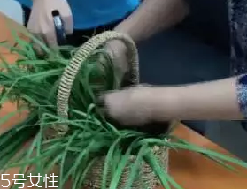 韭菜怎么保存時(shí)間長(zhǎng)？真空保存最持久