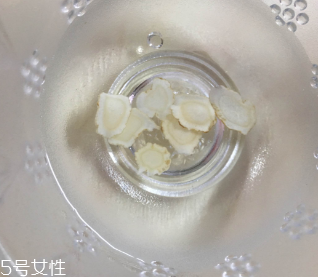 西洋參治失眠嗎？服用過量還會導致失眠