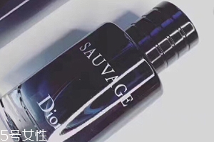 迪奧曠野和桀驁哪個(gè)好？曠野香水適合暖男