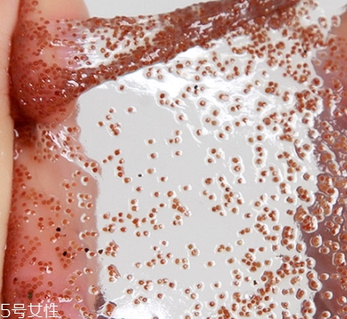 半畝花田海藻面膜怎么樣？