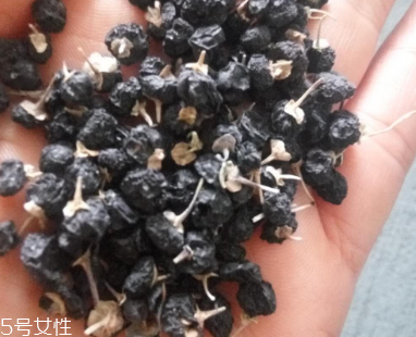 黑枸杞去濕氣嗎？沒有這個功效