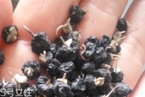 黑枸杞為什么是藍色？花青素的原因