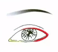 先畫眼影還是先畫眼線？先畫眼影不會讓眼線暈掉