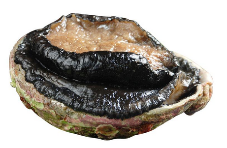 鮑魚罐頭怎么吃？這樣吃最好
