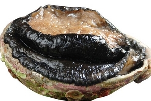 鮑魚(yú)罐頭怎么打開(kāi)？像八寶粥一樣拉開(kāi)