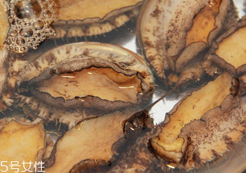 鮑魚(yú)罐頭怎么打開(kāi)？像八寶粥一樣拉開(kāi)