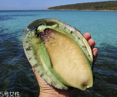 鮑魚(yú)罐頭好吃嗎？味道還可以