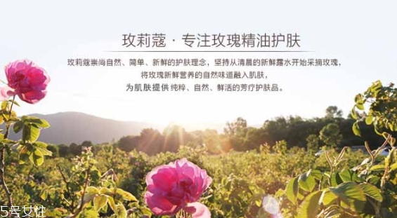 玫莉蔻護(hù)膚品怎么樣？主打玫瑰的護(hù)膚品牌