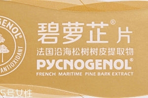 碧蘿芷到底好不好？帶你了解碧蘿芷