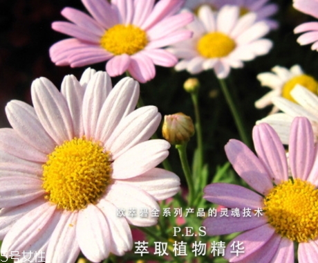 歐萃碧護(hù)膚品怎么樣？法國(guó)藥妝品牌