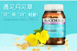 月見草油是激素嗎？不含激素成分