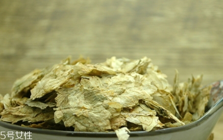 啤酒花是什么？啤酒花功效與作用