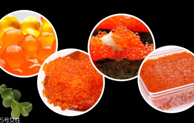 飛魚籽是什么魚的籽？壽司美味的秘訣