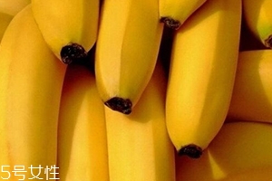仙人蕉多少錢(qián)一斤？