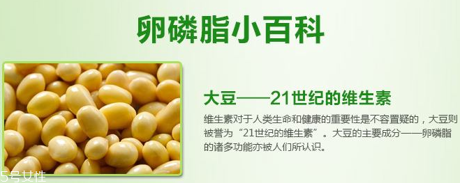 卵磷脂什么時(shí)候吃最好？早晚飯前最佳