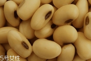 卵磷脂通乳嗎？這個(gè)還不一定