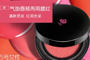 2022氣墊腮紅哪個牌子好用？