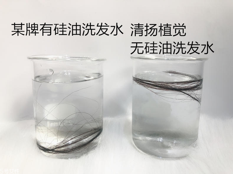 清揚(yáng)0硅油洗發(fā)水好用嗎？自帶高級(jí)感香調(diào)