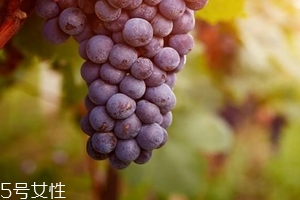 葡萄籽會影響月經(jīng)嗎？吃法正確就不會